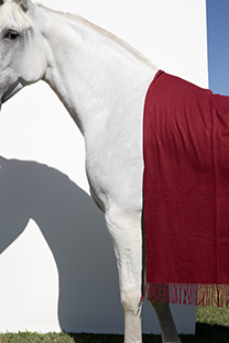 Tiffany Production Jednobojna ženska ešarpa sa resama