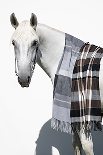 Tiffany Production Ženska ešarpa sa resama