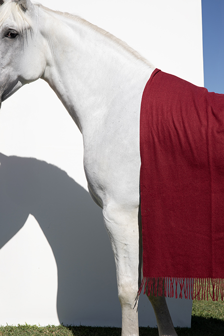 Jednobojna ženska ešarpa sa resama Tiffany Production